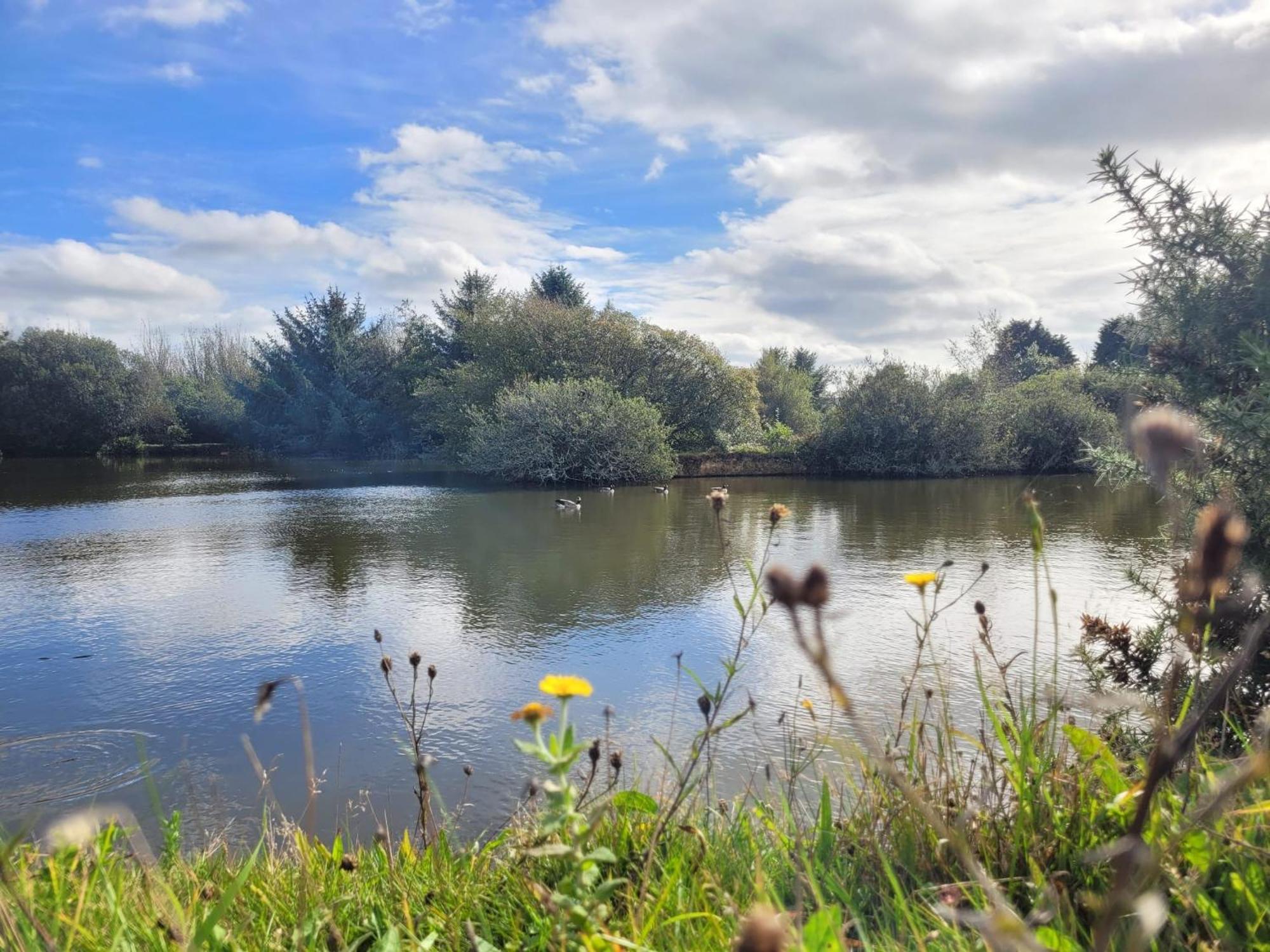 Lakeside Glamping Firecrest St Columb Major Εξωτερικό φωτογραφία