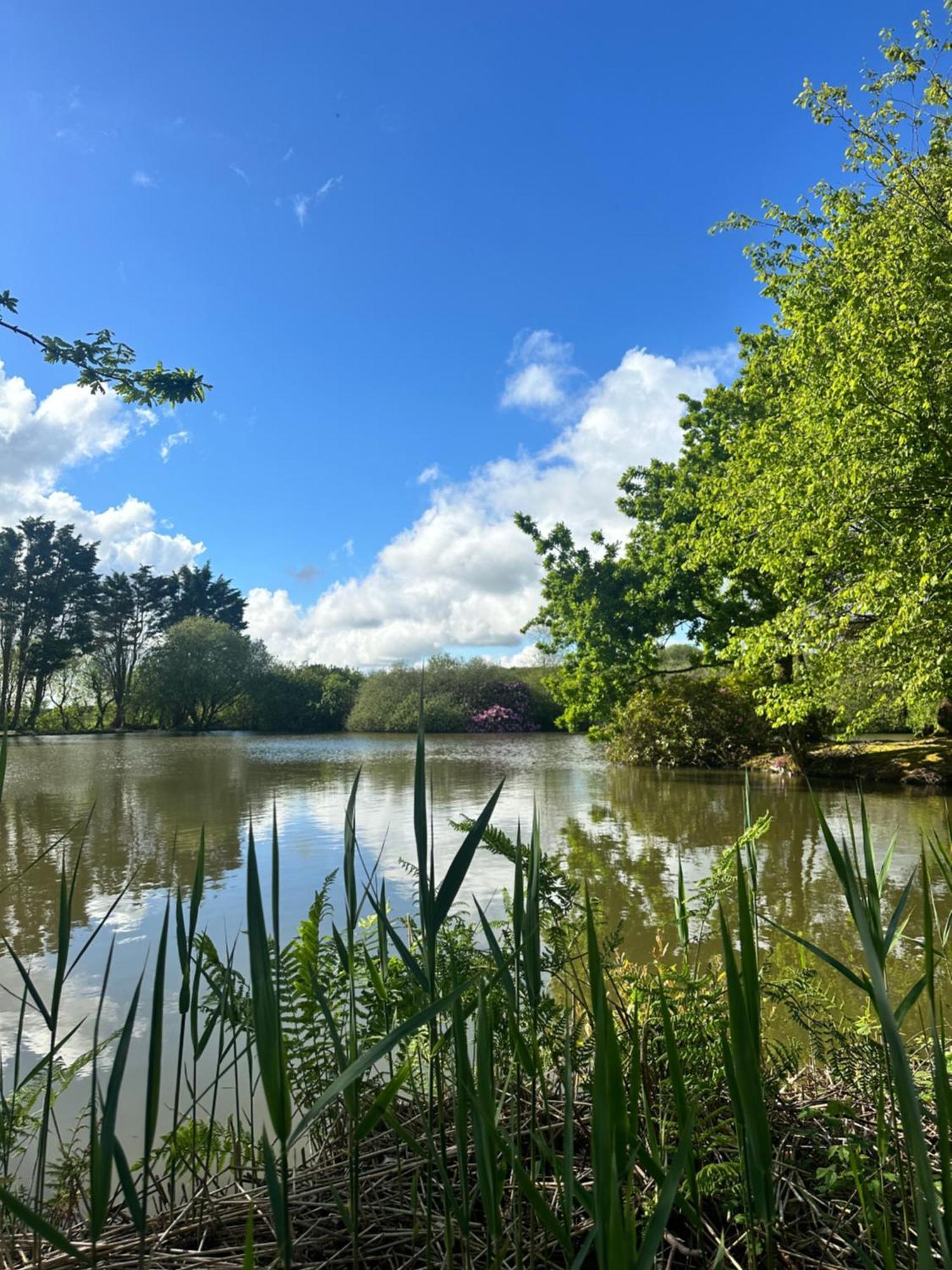 Lakeside Glamping Firecrest St Columb Major Εξωτερικό φωτογραφία
