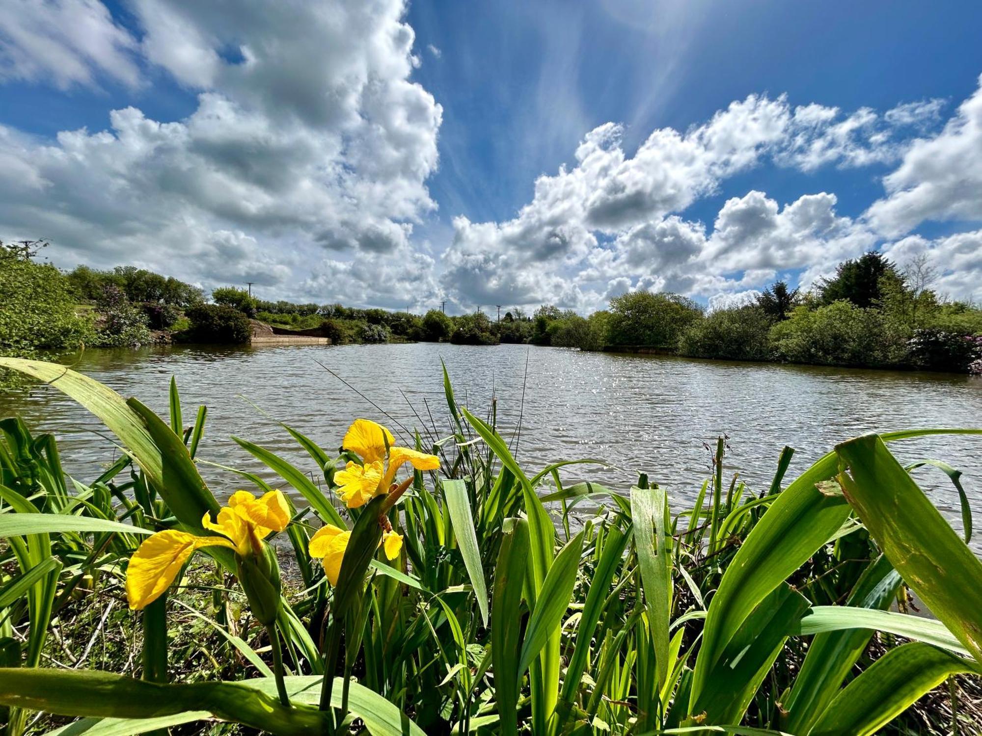 Lakeside Glamping Firecrest St Columb Major Εξωτερικό φωτογραφία